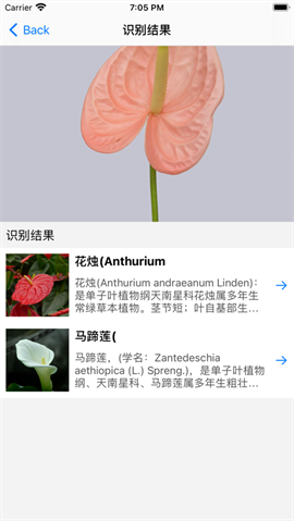 植物识别大师最新版下载-植物识别大师app下载v1.0