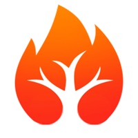 火树浏览器ios版下载-火树浏览器苹果最新版下载v1.0