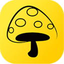 蘑菇丁iOS版下载-蘑菇丁(院校实习) v3.3.0 官方苹果版下载