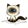 写作猫（网络小说写作工具）v1.2.9 安卓手机版