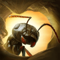 蚂蚁军团为了虫群安卓版下载-蚂蚁军团为了虫群中文版下载v7.1