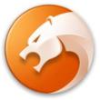 金山猎豹浏览器软件最新版下载-金山猎豹浏览器官方绿色版下载v20211119023