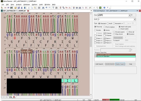 基因序列分析软件Gene Runner免费版下载-基因序列分析软件Gene RunnerBeta最新版下载v6.5.52