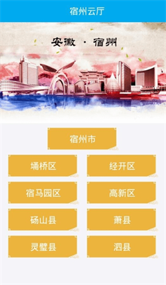 宿州市电子政务服务app下载-宿州电子政务客户端下载v1.0