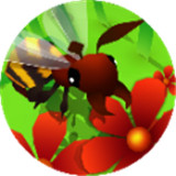 蜜蜂进化3d游戏下载破解版