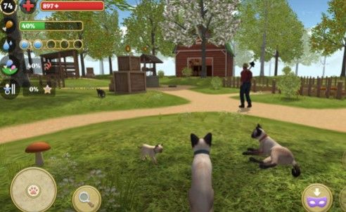 萌宠历险记3D游戏下载-萌宠历险记3D手机版下载v1.0.2