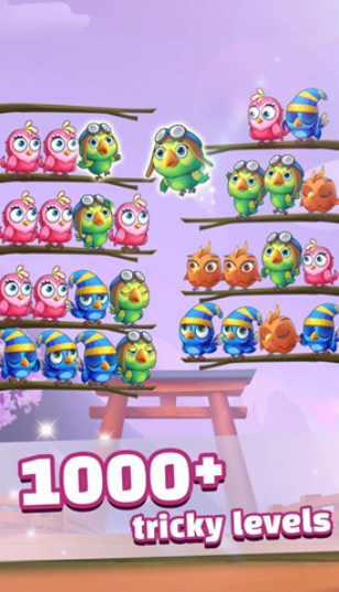 小鸟排序消除正式版下载-小鸟排序消除安卓版下载v1.0.3