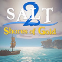 盐2黄金海岸游戏