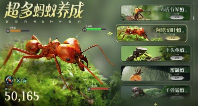 守望家园2022最新版下载-守望家园手机版下载v1.31.0