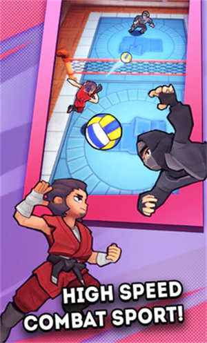 功夫排球游戏中文版下载-功夫排球游戏中文手机版下载v0.2.115