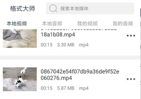 格式大师正式版下载-格式大师下载V1.3.8