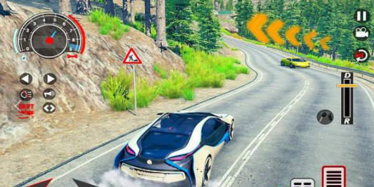 极端赛车模拟器下载-极端赛车模拟器安卓免费下载v1.9.5