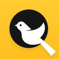 小鸟探店手机版下载-小鸟探店app下载v1.5.1