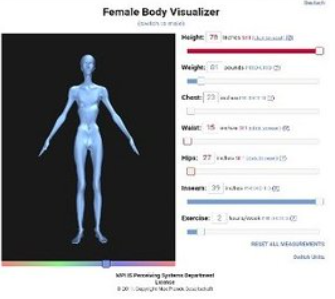 bodyvisualizer模拟器下载-bodyvisualizer模拟器中文拍照下载v3.3.5