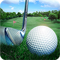 高尔夫大师3D下载-高尔夫大师3D手机版安卓游戏下载v1.46.0