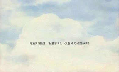 风子中文下载-风子经典版下载v1.5.8