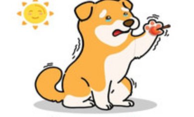 无敌大咖最新版下载-无敌大咖安卓版下载v1.1