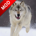 狼狗模拟器下载-狼狗模拟器动物下载v1.0.5