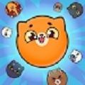 合并西瓜小猫游戏下载-合并西瓜小猫官方安卓版下载v1.0.0