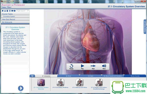 人体解剖学软件Visible Body下载-人体解剖学软件Visible Body v3.1.3 官网中文破解版下载v3.1.3