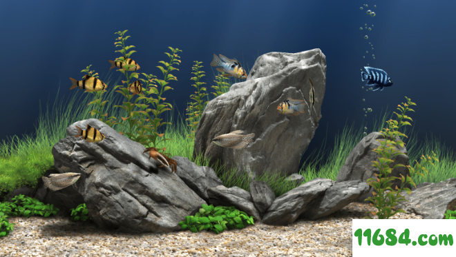 Dream Aquarium Screensaver破解版下载-超酷海洋馆屏保Dream Aquarium Screensaver v1.293 注册版下载