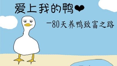 爱上我的鸭安卓2024最新版免费下载-爱上我的鸭手游下载v5.0