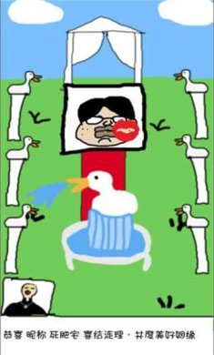 爱上我的鸭安卓2024最新版免费下载-爱上我的鸭手游下载v5.0