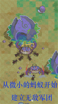 蚂蚁王国崛起安卓手机版下载-蚂蚁王国崛起游戏下载v1