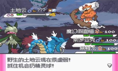 口袋妖怪零维E界手机版最新版下载-口袋妖怪零维E界下载v40100240720