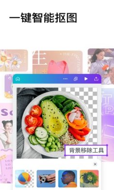 canva可画网页版下载-canva可画下载v2.274.0