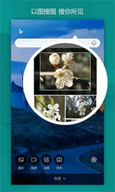 微软必应app下载-微软必应app官网手机版下载V28.8.420717004