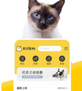 买只宠物官网下载-买只宠物下载v4.3.7