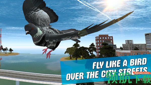 鸽子模拟器手机版下载-鸽子模拟器 v1.0.2 安卓中文版下载