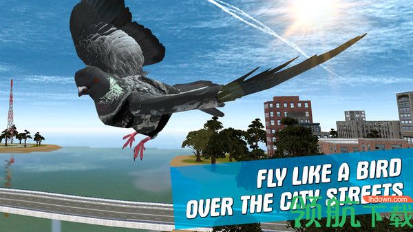 鸽子模拟器手机版下载-鸽子模拟器 v1.0.2 安卓中文版下载