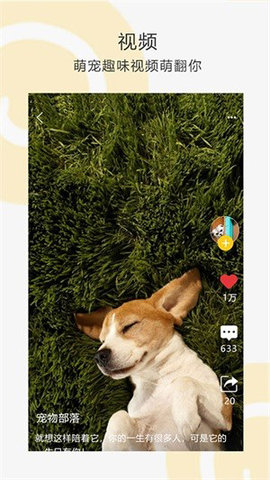 宠物乐园汉化版最新游戏下载-宠物乐园安卓版下载v1.4.16