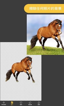 ProKnockout智能抠图中文绿色版下载-ProKnockout智能抠图安卓版下载v4.5.2