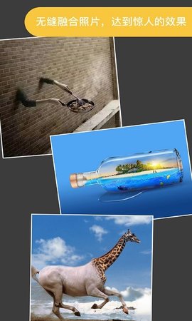 ProKnockout智能抠图中文绿色版下载-ProKnockout智能抠图安卓版下载v4.5.2