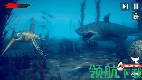 愤怒鲨鱼木筏生存游戏最新版下载-愤怒鲨鱼木筏生存手游免费版下载v1.0.2