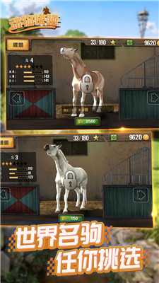 动物快跑安卓正式版下载-动物快跑手机下载下载v0.1