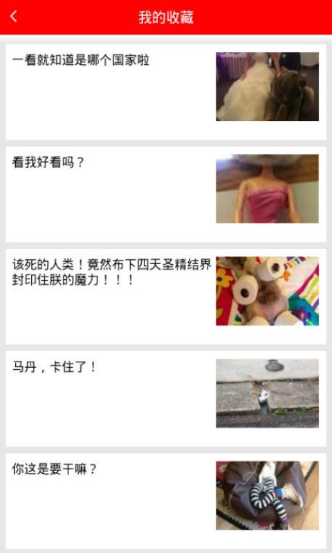 旺财穿鞋app下载-旺财穿鞋安卓版下载v8.1.8