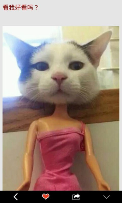 旺财穿鞋app下载-旺财穿鞋安卓版下载v8.1.8