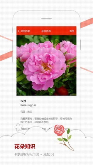 微软识花app下载-微软识花安卓版下载v3.6.1