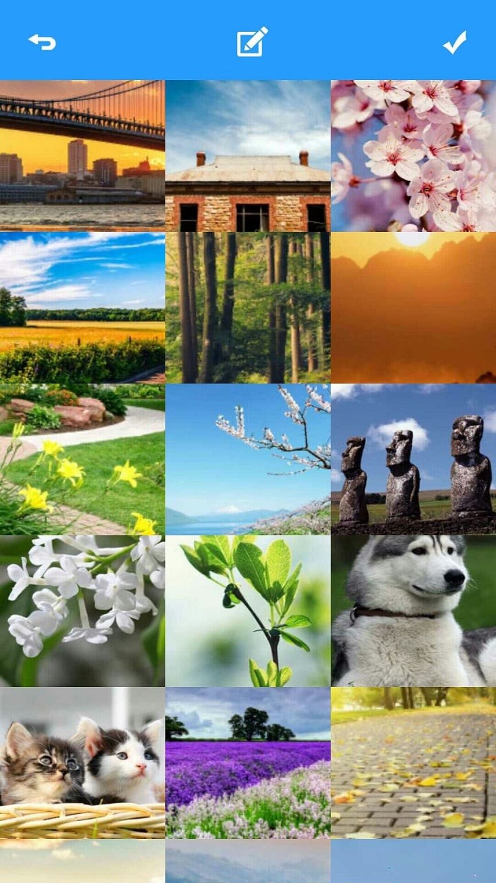 隐卫相机app下载-隐卫相机安卓版下载v1.02