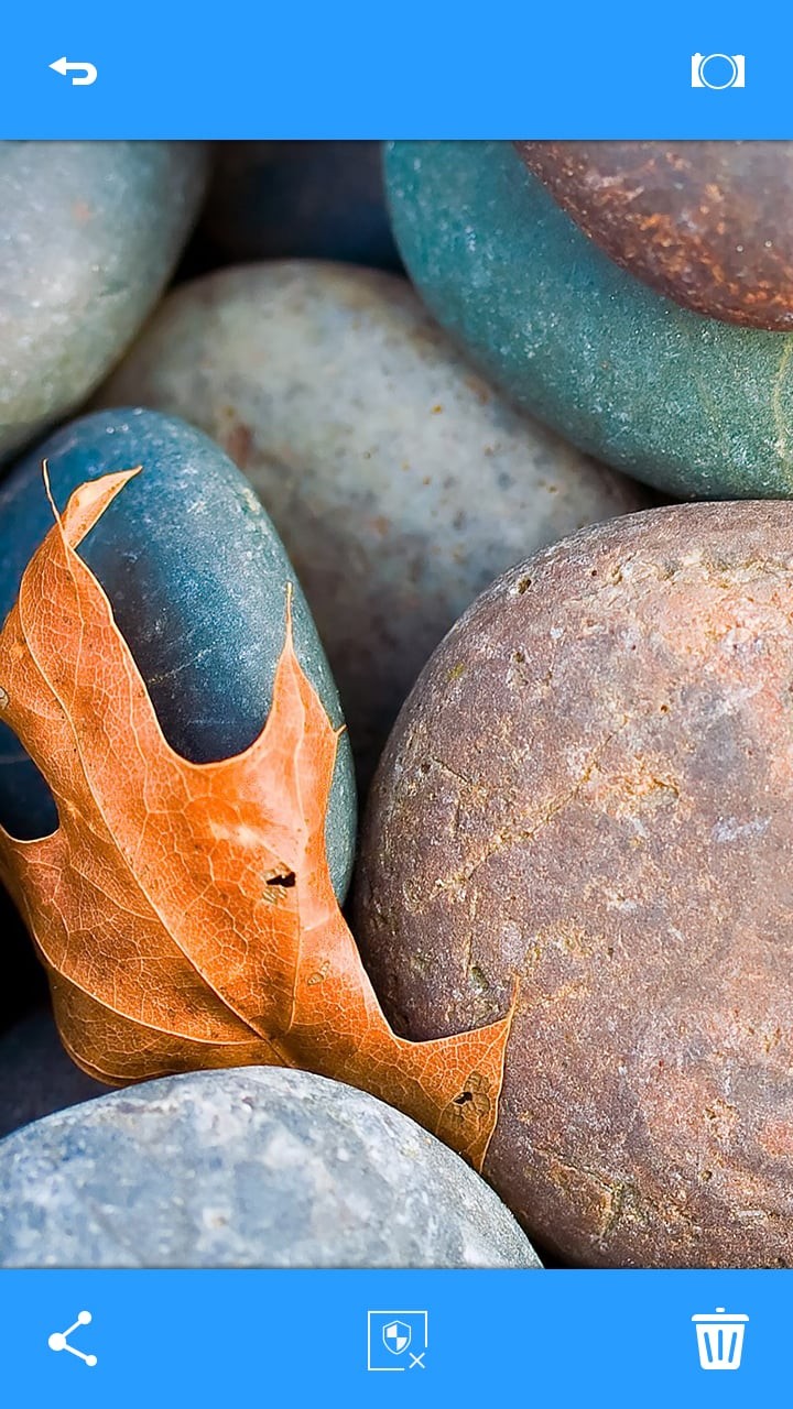 隐卫相机app下载-隐卫相机安卓版下载v1.02