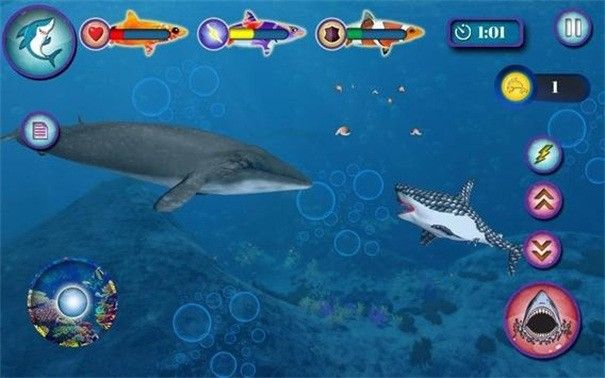 海洋鲨鱼模拟器安卓版下载-海洋鲨鱼模拟器中文版下载v1.0