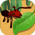 蚂蚁进化3D蜜蜂boss手机版