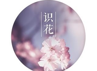 识花神器涨知识软件2022最新版下载-识花大师app安卓版下载v1.2.7