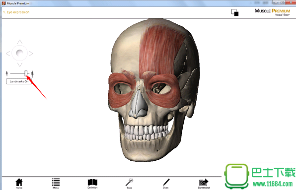 人体解剖学图集电脑版下载-人体解剖学软件最新版下载v3.12.3