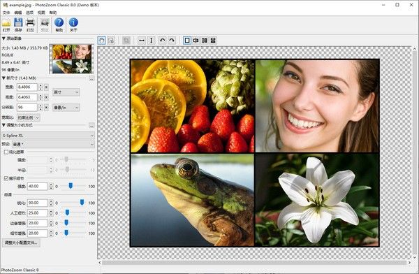 Benvista PhotoZoom Classic(无损放大软件)下载-Benvista PhotoZoom Pro官方特别版下载v8.0.4