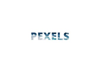 pexels视频素材免费版下载-pexels视频素材下载v1.0.0
